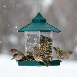 Waterproof hanging bird food box Waterproof hanging bird food box