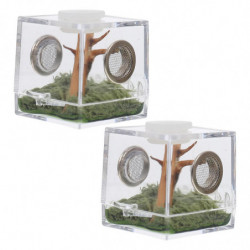 2 Set of Spider Habitat Box Small Pet Insect Breeding Box Jumping Spider Micro Box 2 Set of Spider Habitat Box Small Pet Insect Breeding Box Jumping Spider Micro Box