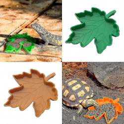 Reptile Bowl S Plate Reptile Food Bowl Lizard Cko (1pcs) Reptile Bowl S Plate Reptile Food Bowl Lizard Cko (1pcs)