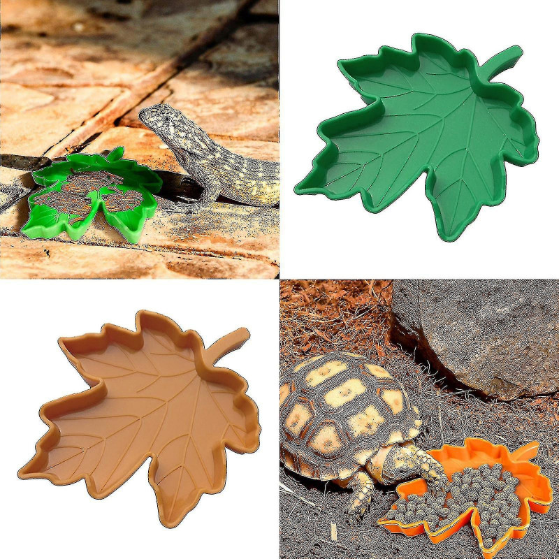 Reptile Bowl S Plate Reptile Food Bowl Lizard Cko (1pcs)