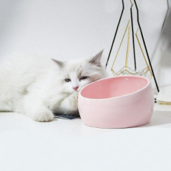 Food dispensers lovely cat feeder ceramic bowl dog food bowl container pet feeding delicious cat Food dispensers lovely cat feeder ceramic bowl dog food bowl container pet feeding delicious cat