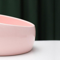 Food dispensers lovely cat feeder ceramic bowl dog food bowl container pet feeding delicious cat