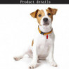 1pc Pet Anti-lost Address Pendant Pet Dog Cat Id Name Address Label Identity Card Storage Tube Pet Cats Dogs Accessories 1pc Pet Anti-lost Address Pendant Pet Dog Cat Id Name Address Label Identity Card Storage Tube Pet Cats Dogs Accessories