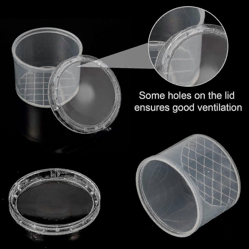 30 Pièces Piège À Insectes Visionneuse Transparent Petit Animal Conteneur Petite Cage Loupe Boîte Conteneur-Bon