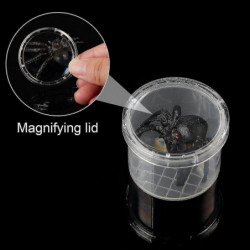 30 Pièces Piège À Insectes Visionneuse Transparent Petit Animal Conteneur Petite Cage Loupe Boîte Conteneur-Bon