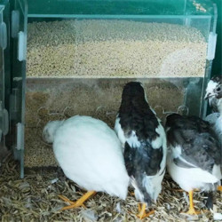 Parrot Feeder Box Acrylic Feeding Container No-Mess Multihole Food Box Clear Bird Food Dispenser Box for Finches Parrots