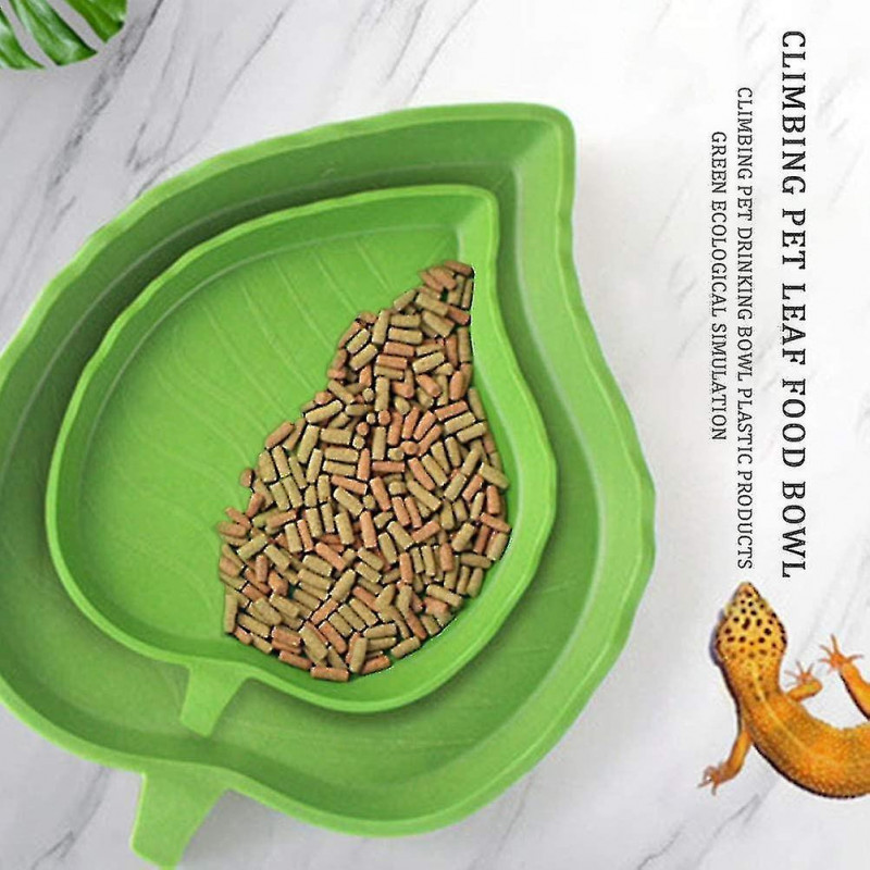 Reptile Food Water Bowlstortoise Food Water Bowl Dish Plate For Crawl Pet 2 Pack