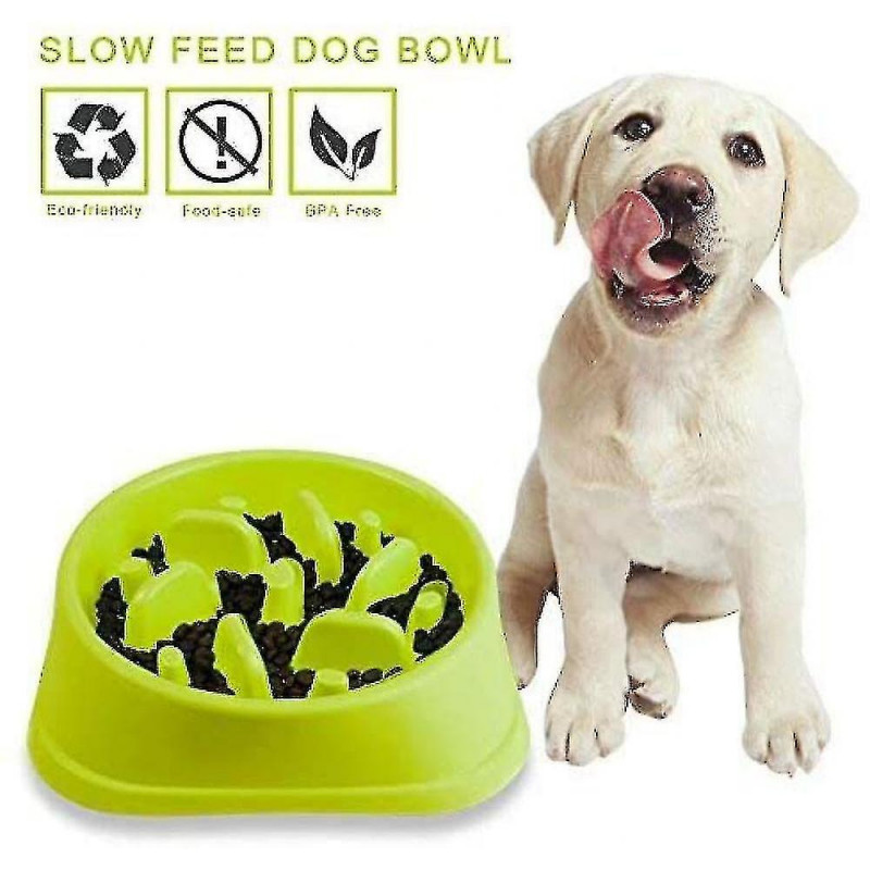 Non-slip Labyrinth Pet Food Bowl - Promotes A Healthy Diet And A Slow Digestion