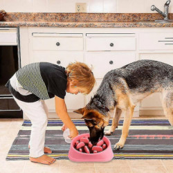 Non-slip Labyrinth Pet Food Bowl - Promotes A Healthy Diet And A Slow Digestion
