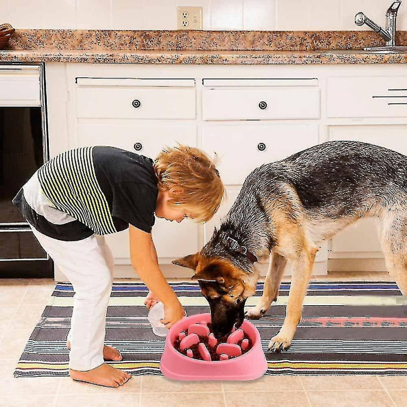 Non-slip Labyrinth Pet Food Bowl - Promotes A Healthy Diet And A Slow Digestion