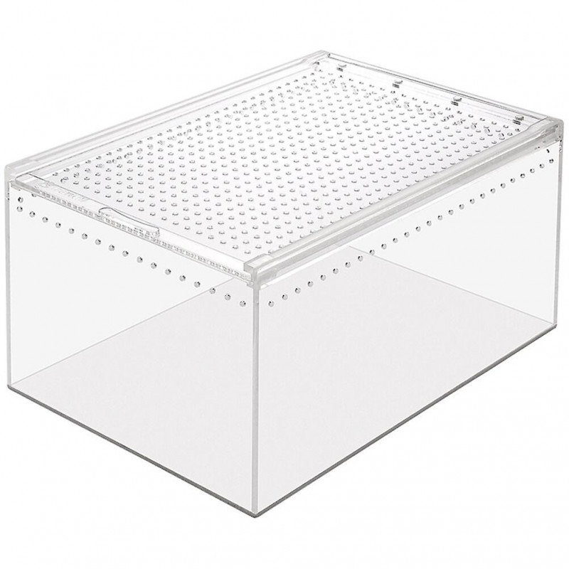 Bac d’alimentation créatif Petite boîte d’éleveur Reptiles Enclos Escargot Bac d’alimentation Enclos pour insectes