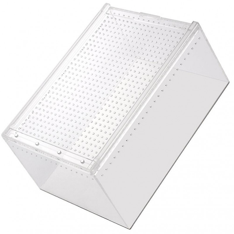 Bac d’alimentation créatif Petite boîte d’éleveur Reptiles Enclos Escargot Bac d’alimentation Enclos pour insectes