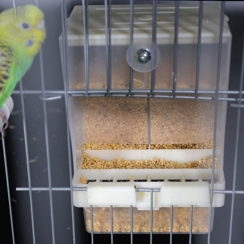 Bird Feeder For Cage Parakeet Automatic Food Dispenser No Mess Food Container