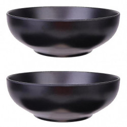 2pcs Ramen Bowls Stylish Food Container
