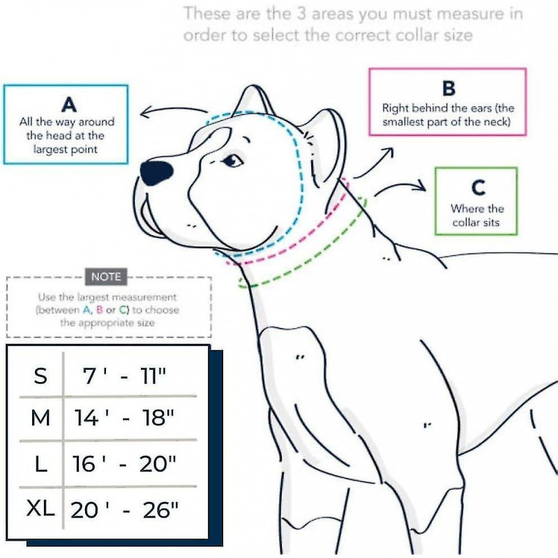 Collier de suivi de chien réfléchissant réglable avec Airtag Waterproof Holder Case