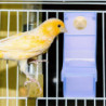 Parrot Feeder Bird Food Bowl Parrot Food Container Simple Structure Feeding Bowl the Birds Supplies Bird Feeder B Parrot Feeder Bird Food Bowl Parrot Food Container Simple Structure Feeding Bowl the Birds Supplies Bird Feeder B