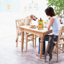 2 Pcs Pet Food Scoop Measuring Cup, Silicone Measuring Pet Food Spoon, Multi Functional Scoop 2 Pcs Pet Food Scoop Measuring Cup, Silicone Measuring Pet Food Spoon, Multi Functional Scoop