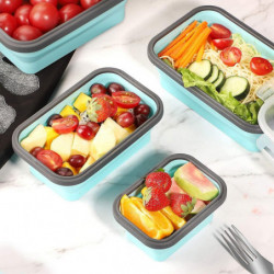 Collapsible Silicone Food Storage Container With Lid,lunch Bento Box Picnic Box, Set Of 4 Collapsible Silicone Food Storage Container With Lid,lunch Bento Box Picnic Box, Set Of 4