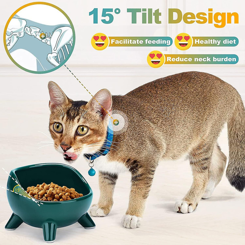 Cat Bowl Ceramic Raised Bowl For Cat/puppy, Angled Orthopedic Bowl For Adult Cat/kitten For Food