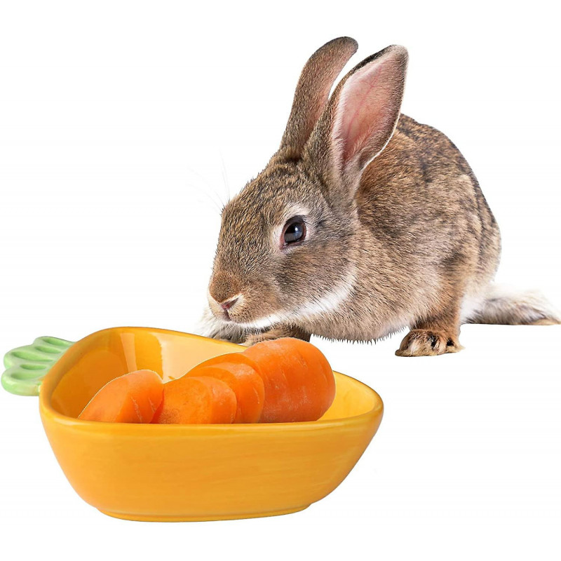 Ceramic Pet Bowl - Carrot - Ceramic Bowl For Hamster, Guinea Pig, Rat, Rabbit Ceramic Pet Bowl - Carrot - Ceramic Bowl For Hamster, Guinea Pig, Rat, Rabbit