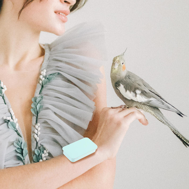 2Pcs Small Metal Bird Feeder Export Insect Box Bird Food Box Outdoor Bird Food Box Random Color