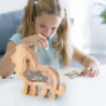 Lions Solid Wood High-capacity Coin Storage Innovative Transparent Currency And Various Types Of Storage Jars FLYE2233 Lions Solid Wood High-capacity Coin Storage Innovative Transparent Currency And Various Types Of Storage Jars FLYE2233