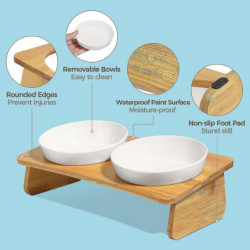 Cat Bowl With Stand, Cat Bowl Kit, 2 Pack Feeding Plates, Pet Spine Protect Cat Bowl With Stand, Cat Bowl Kit, 2 Pack Feeding Plates, Pet Spine Protect