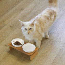 Cat Bowl With Stand, Cat Bowl Kit, 2 Pack Feeding Plates, Pet Spine Protect