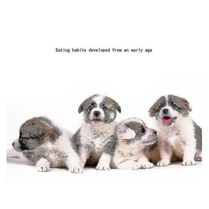 Pet Supplies Slow Feeder Dog Bowl Maze Dog Bowl To Slow Down Eating