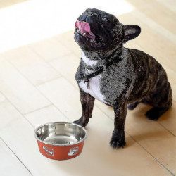 Impression d’animaux de compagnie Bol en acier inoxydable Double couche Épaississement Antidérapant Alimentation [...]