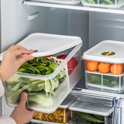 Refrigerator Food Container Drainage Compartment Fresh-Keeping Transparent Vegetable And Fruit Drain Refrigerator Food Container Drainage Compartment Fresh-Keeping Transparent Vegetable And Fruit Drain