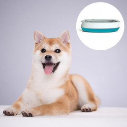 Pet Glass Bowl Dog Cat Drinking Water Feeding Bowl Food Bowl Drinking Water Bowl Pet Glass Bowl Dog Cat Drinking Water Feeding Bowl Food Bowl Drinking Water Bowl