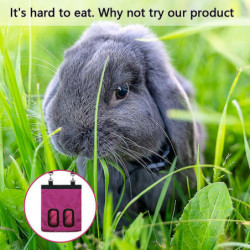 Rabbit Hay Feeding Stationhay Feed Dispenser For Rabbits Guinea Rabbit Hay Feeding Stationhay Feed Dispenser For Rabbits Guinea