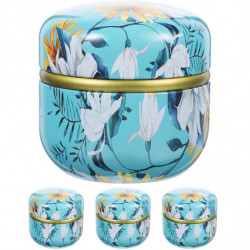 4pcs Mini Iron Sealed Storage Can Tea Container Delicate Storage Pot for Kitchen