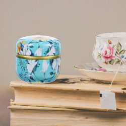 4pcs Mini Iron Sealed Storage Can Tea Container Delicate Storage Pot for Kitchen
