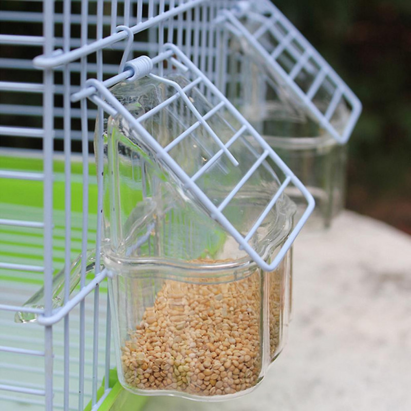 Plastic Bird Feeder With Perch Large Capacity Food Container Easy To Clean