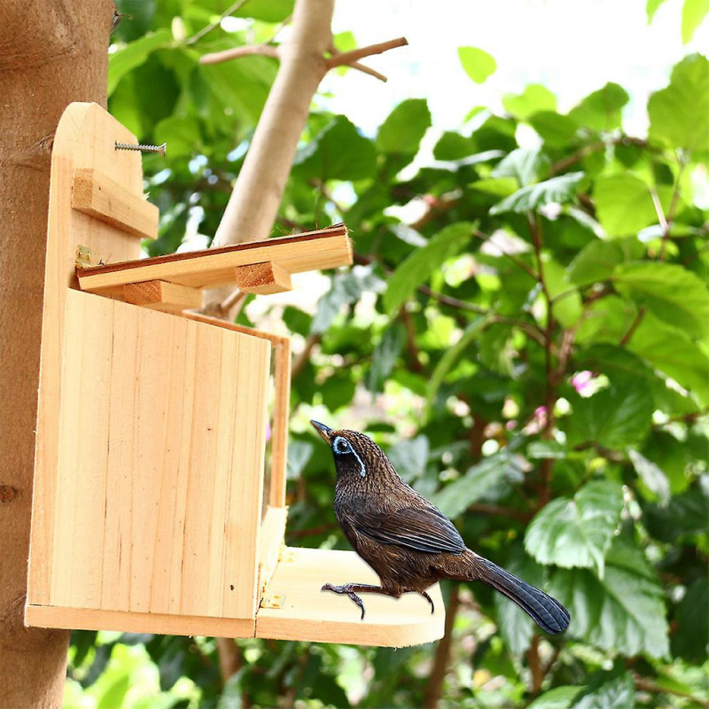 Squirrel Feeder For Outside Natural Wood Feeding Box With Lid Easy To Clean