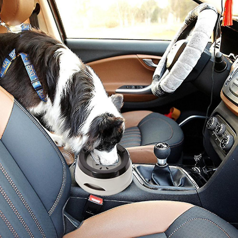 Pas de déversement Dog Water Bowl Compatible avec la maison et les voyages, plus de sols mouillés