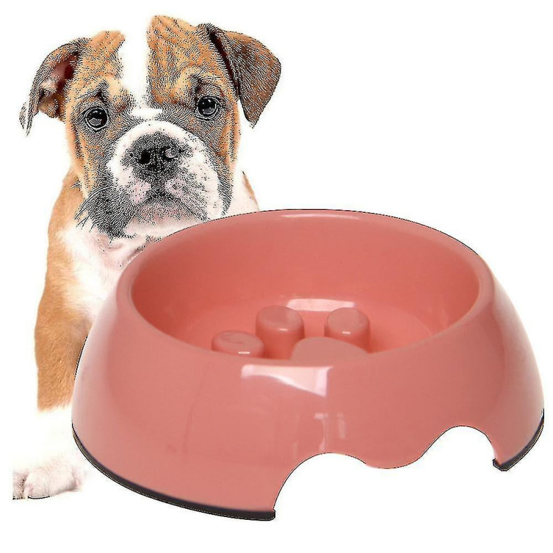 Slow Feeder Dog Bowl, Anti-gulping Slow Eating Bowl, Stop Bloat