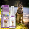 Dog Calming Spray 50ml Pheromone Copy Réduire les comportements destructeurs et l’anxiété