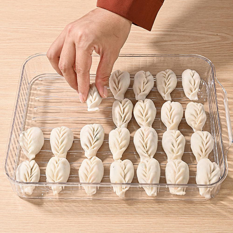 Household Timing Dumpling Box Large Capacity Food Fresh-keeping Box for Kitchen