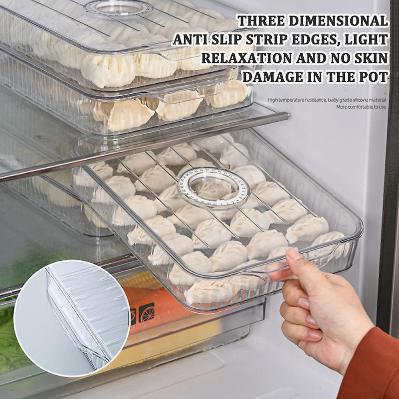 Household Timing Dumpling Box Large Capacity Food Fresh-keeping Box for Kitchen