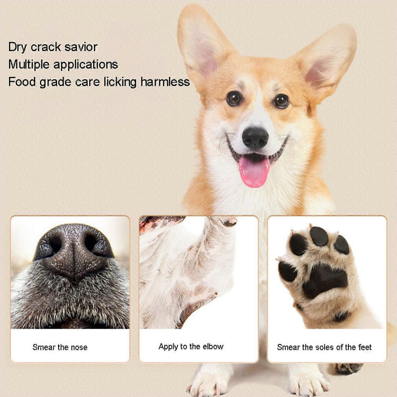 Baume pour animaux de compagnie Chat Fournitures de soins pour chiens Hydratant pour les pieds Soins ménagers [...]