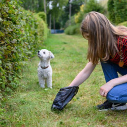 450/750/1500/1800poop Bags Dog Excrement Garbage Bag Pet Waste Poop Bag Dog Bag Dispenser Poop Bags Black/colors [...]