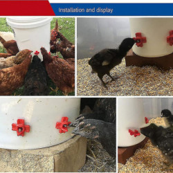 One-piece Spring Automatic Steel Ball New Drinking Fountain (5 Pieces - Red)