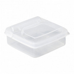 Cheese Slices Storage Box With Lid Space-saving Fruit Vegetable Fresh-keeping Organizer Box For Kitchen Vegetable Fruit