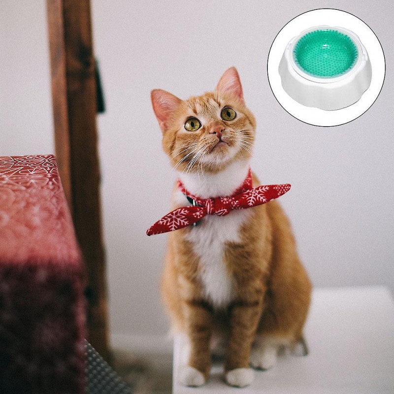 Cooling Puppy Drinking Frosty Pet Tool Food Bowls Dog Plastic Go Containers Spill Shield Water