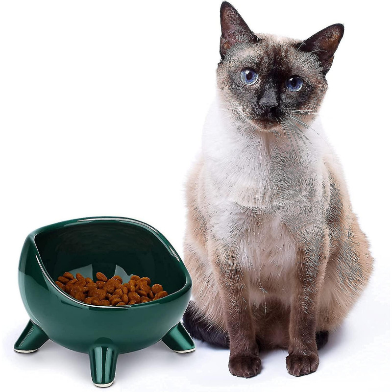 Cat Bowl Ceramic Raised Bowl For Cat/puppy, Angled Orthopedic Bowl For Adult Cat/kitten Fo