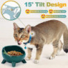 Cat Bowl Ceramic Raised Bowl For Cat/puppy, Angled Orthopedic Bowl For Adult Cat/kitten Fo