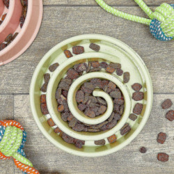 Bol interactif pour chien, plat pour animaux de compagnie Spiral Slow Feeder (rose et vert)
